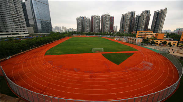 标准运动场 标准运动场