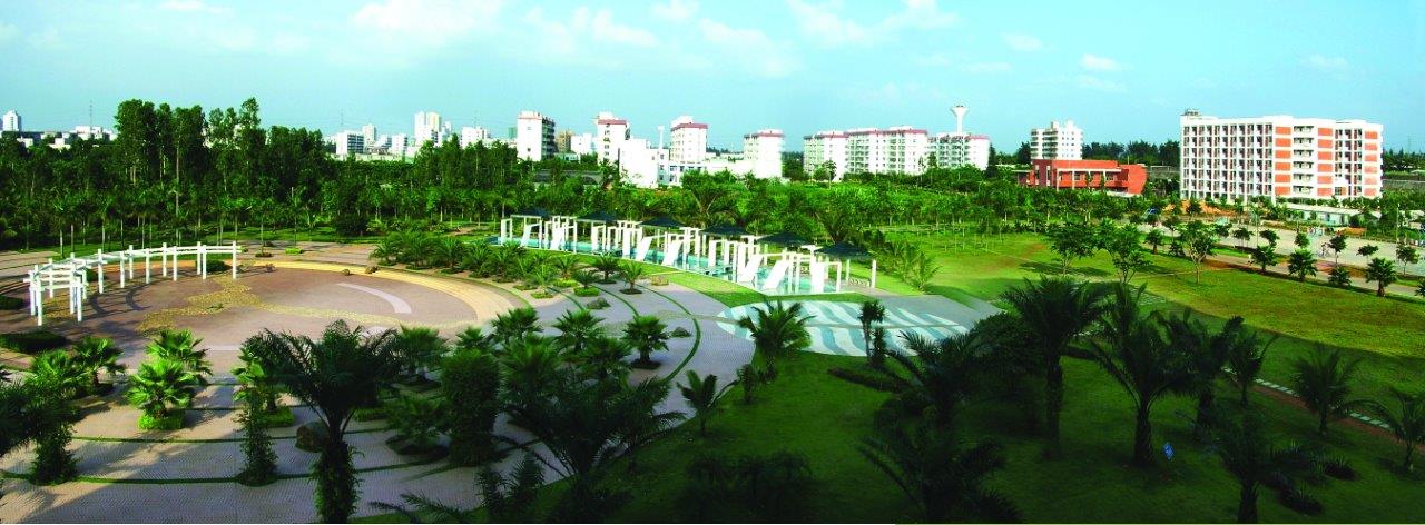 wanghua_.20187485652_0