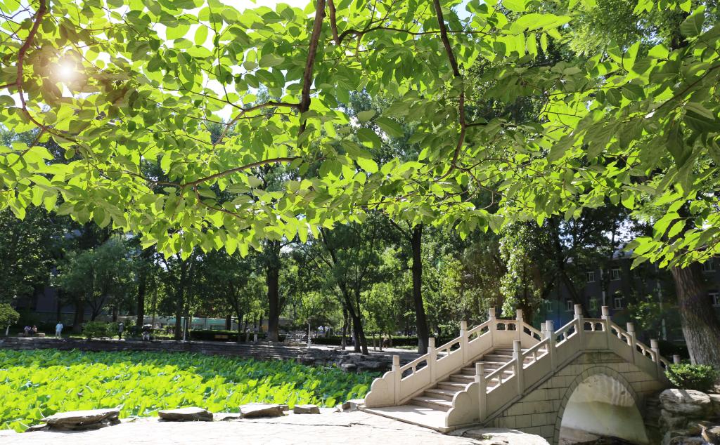 微信图片_202007161627094