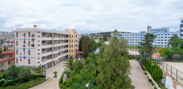 学校校园景色 (4)