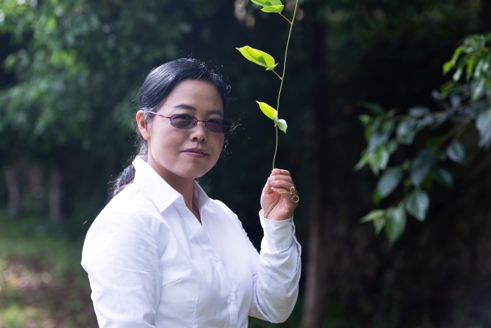 昆明市骨干教师杨琼芬 昆明市骨干教师杨琼芬
