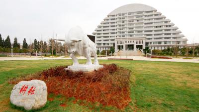 微信图片_20200717134843