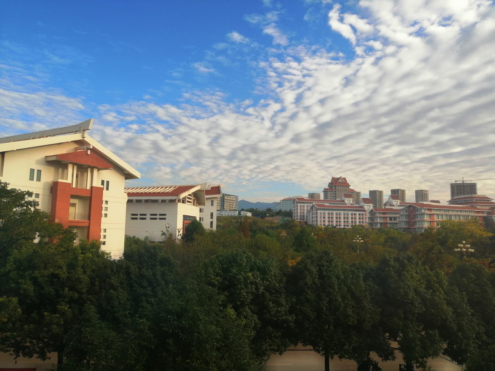 d354d63aa6b380b6417e4fefda2c86cc_IMG_20181031_172027