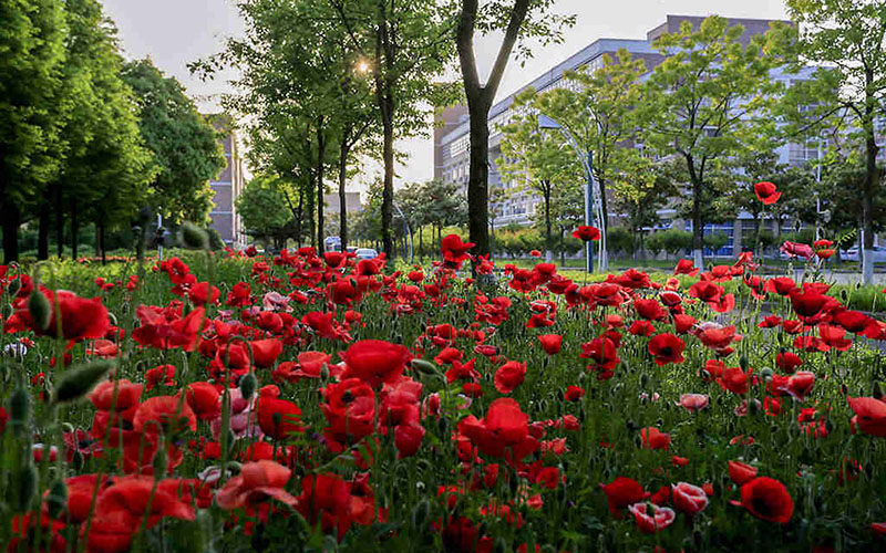 微信图片_20200717150135