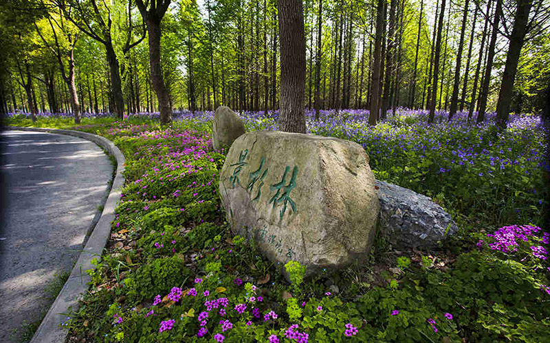 微信图片_20200717150201