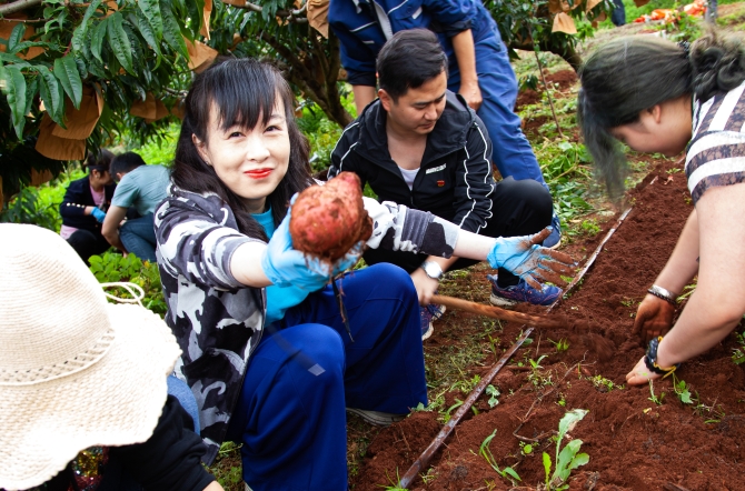 扶贫有我，爱心助农 (5)