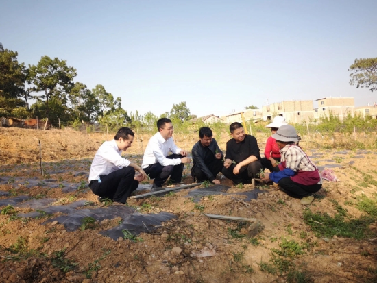 3分行工作人员深入考察文山当地农业小微企业