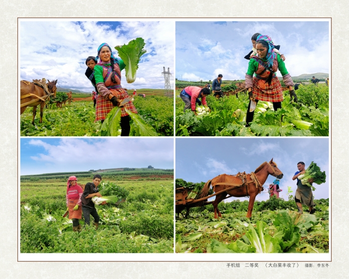 2脱贫功坚手机组-07