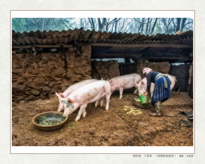 三C50C889781ABC28C305863455EA91F84_750_750