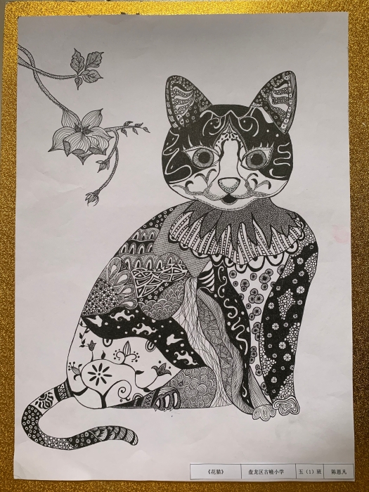 优秀 盘龙 陈思凡 《花猫》 优秀 盘龙 陈思凡 《花猫》