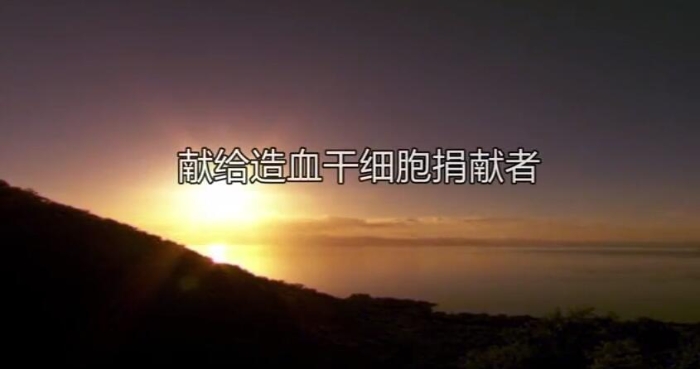 QQ截图20201112110341