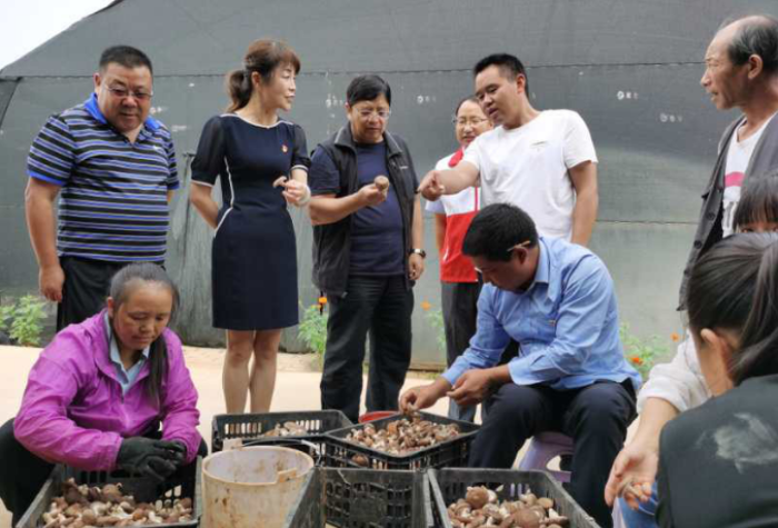 QQ截图20201112112845