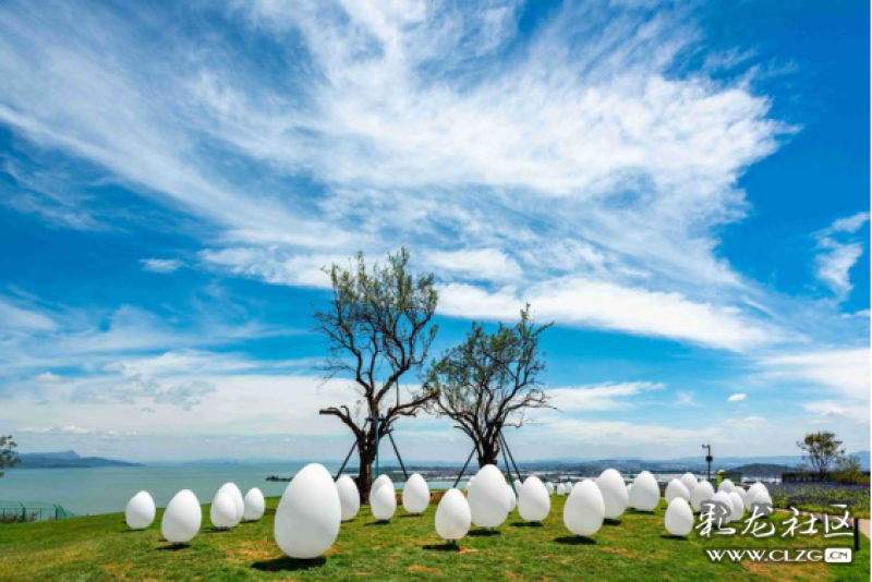 clzg_5f7fff1be8（2）