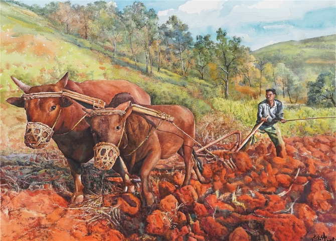 陈宏伟 《红土·耕耘》 水彩画 尺寸:74X56 电话:13608872722 陈宏伟 《红土·耕耘》 水彩画 尺寸:74X56 电话:13608872722