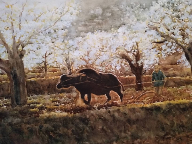 作品名称:《梨园春种》作者姓名:李茜伍 电话:13518767699 作品名称:《梨园春种》作者姓名:李茜伍 电话:13518767699