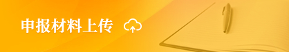 申报资料上传