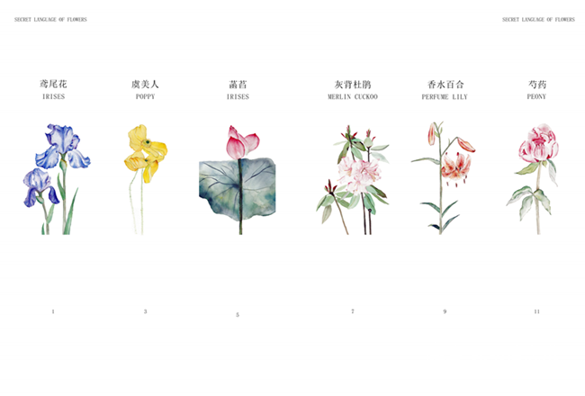 速视觉团队“采花集”绘本 (1) 速视觉团队“采花集”绘本 (1)