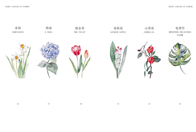 速视觉团队“采花集”绘本 (2) 速视觉团队“采花集”绘本 (2)