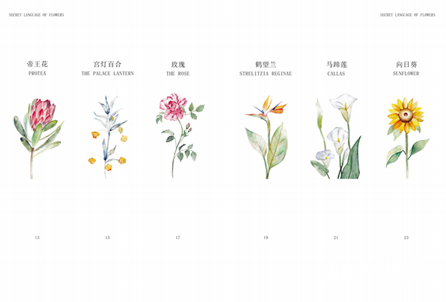 速视觉团队“采花集”绘本 (3) 速视觉团队“采花集”绘本 (3)