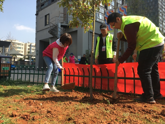 党员植树 党员植树