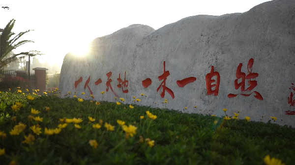 北京八十学校_副本