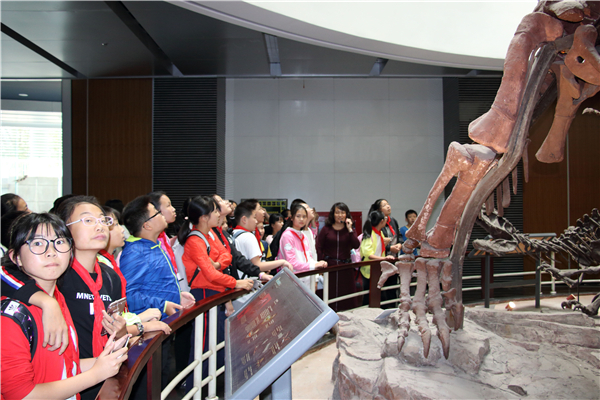 学生到动物博物馆参观 (2)