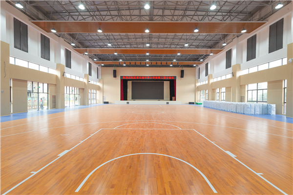 体育馆