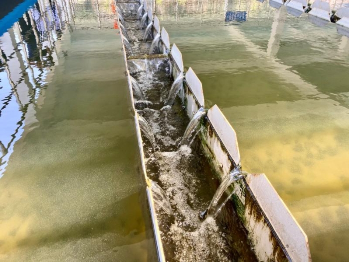 3c854118-99f5-4ca0-a3ce-a54b56c30566