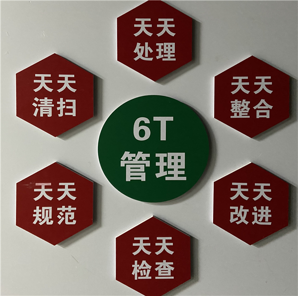 6T管理