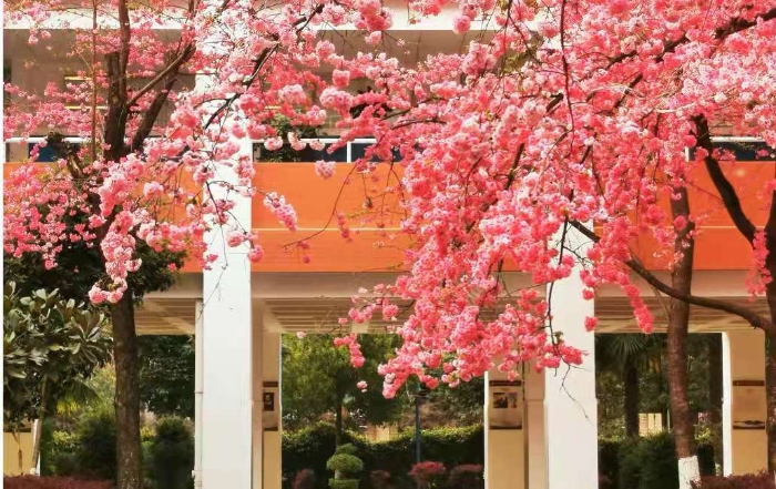 微信图片_20210416151137 微信图片_20210416151137