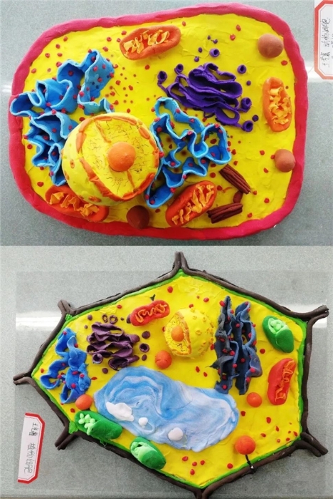 微信图片_20210402142508 微信图片_20210402142508