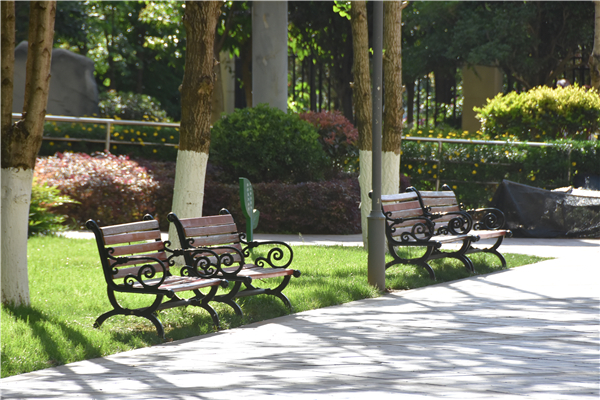 优美的校园环境