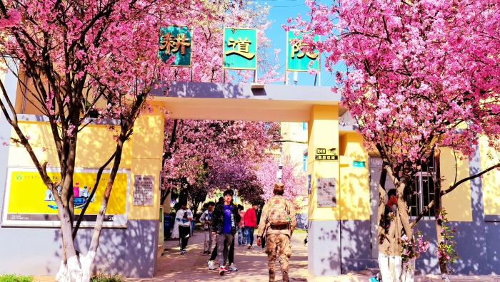 DSC_7040_副本_副本