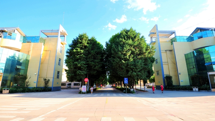 DSC_2686_副本_副本