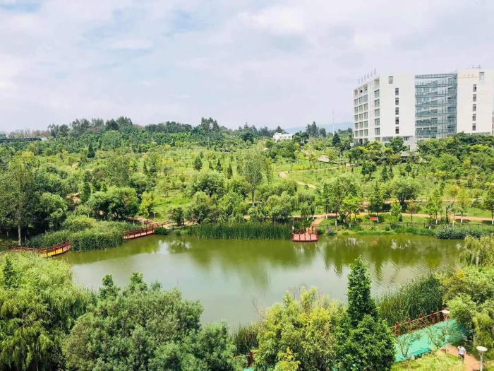 8495fb51-b164-4832-a3ba-1f836eeb6a6a