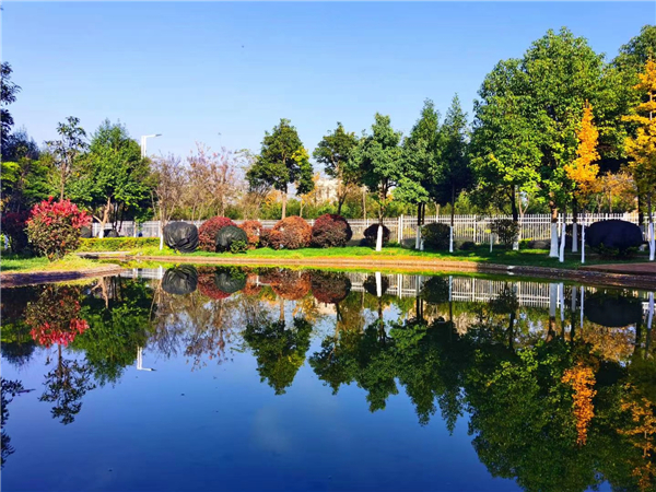 校园景色1 校园景色1