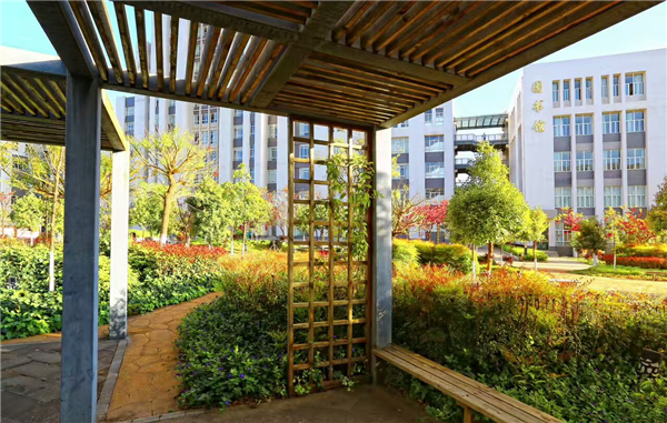 校园景色3 校园景色3