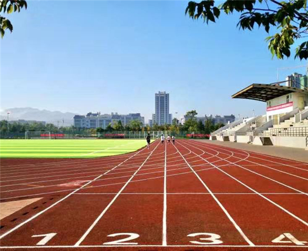 运动场1 运动场1