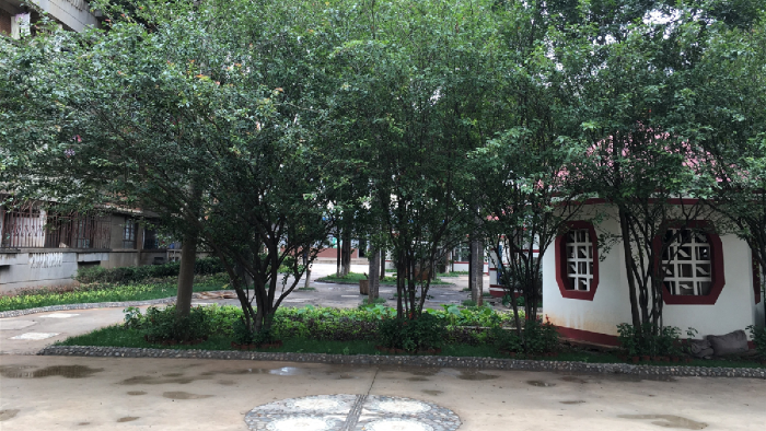 图片5_副本 图片5_副本