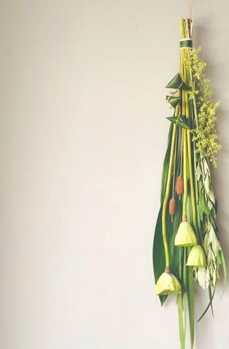 小红书@OllieOllie2020