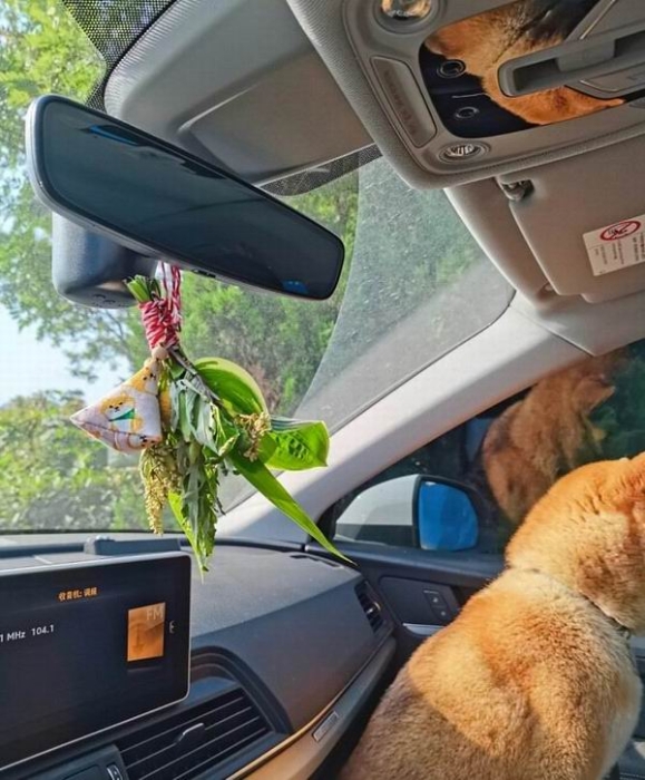 小红书@在野与露flora studio