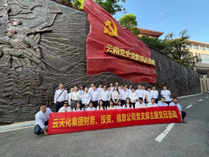 云天化集团财务、投资、信息公司党支部主题当日活动3