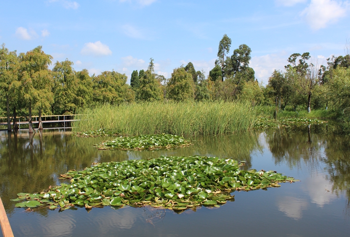 d22f2f9f0a75f54733d233ebd3d8bcd