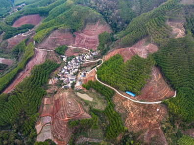 企业微信截图_16328922793453 企业微信截图_16328922793453