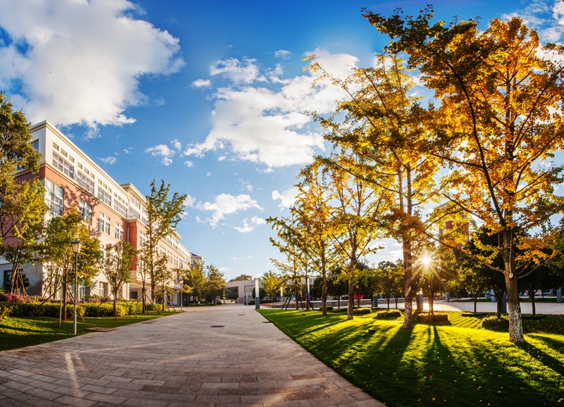 IMG_8037 Panorama_副本 IMG_8037 Panorama_副本