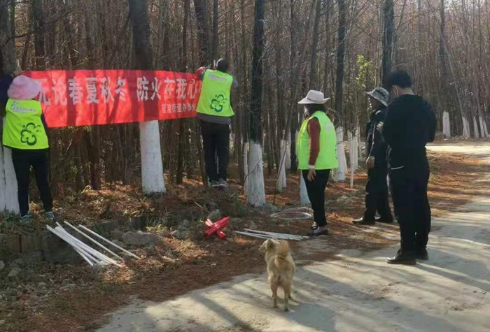 051ad5efdfbdea59e9a3cf76d265943