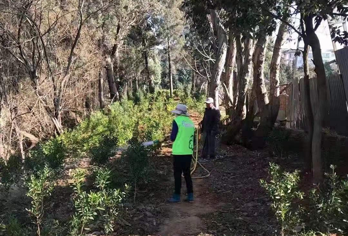 8d70887eda5d9d5f4b40cc67c044d60