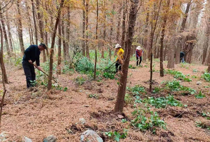 5592e0941c3186f10b61ef090110218