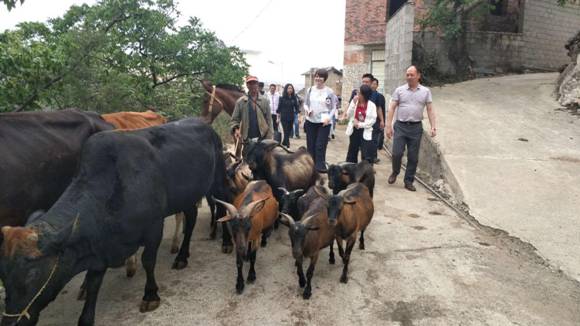 20190617114545369002