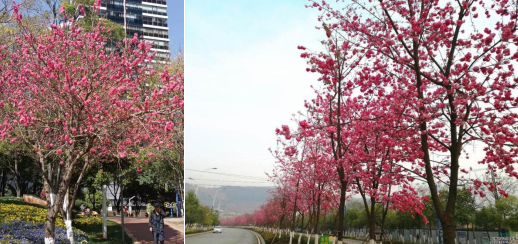 5c331aeb4661bf4068dc7b9d203f767 5c331aeb4661bf4068dc7b9d203f767